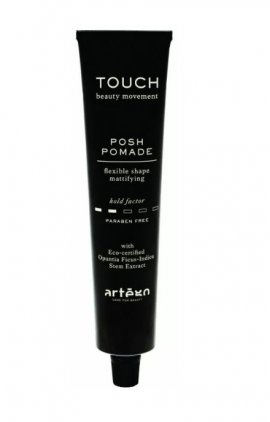 Artego Touch Posh Pomade -   100 